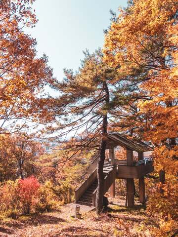 秋景色