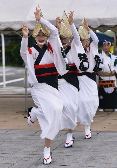 写真コンテスト（維新祭の部）佳作　画像3