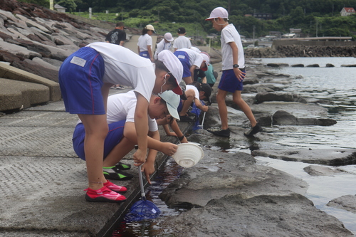 いそ遊び