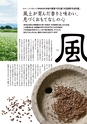 花蝶風月［大石田町勢要覧］
